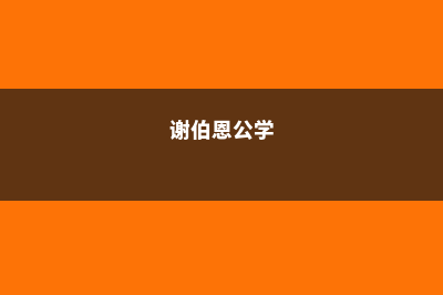 谢伯恩国际学院优势专业介绍(谢伯恩公学)