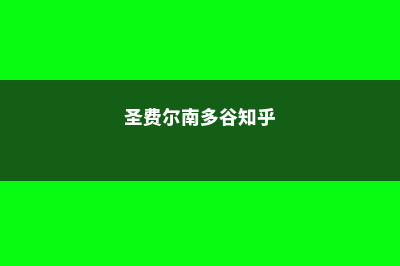 关于圣费尔南多学院需要注意的留学问题(圣费尔南多谷知乎)