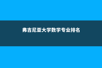 弗吉尼亚大学数学本科专业(弗吉尼亚大学数学专业排名)