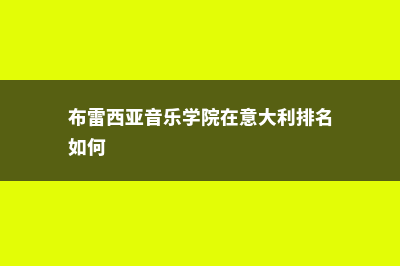 布雷西亚大学简介(布雷西亚音乐学院在意大利排名如何)