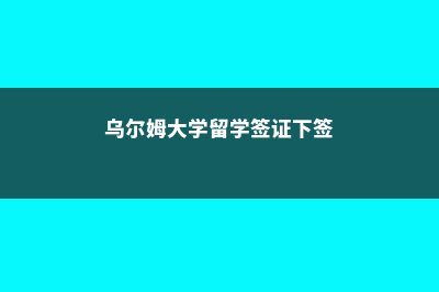 乌尔姆大学留学申请有哪些常见问题(乌尔姆大学留学签证下签)