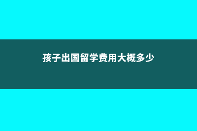 去巴黎第二大学留学生活费贵吗(巴黎第二大学世界排名)