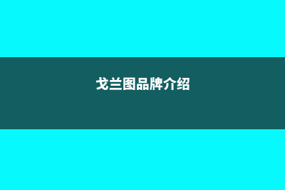 戈布兰图像学校院校信息(戈兰图品牌介绍)