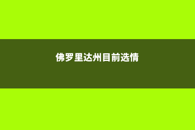 中佛罗里达州预备学校就业形式分析(佛罗里达州目前选情)