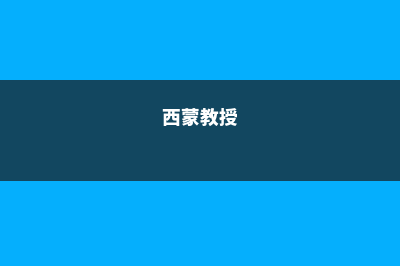 西蒙洛克学院中央日报排名情况及分析(西蒙教授)