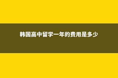 韩国高中留学书包推荐女生(韩国高中留学一年的费用是多少)